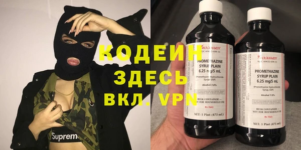 гидра Абаза