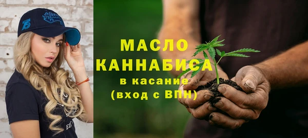 дмт Алексин