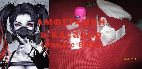 гидра Абаза