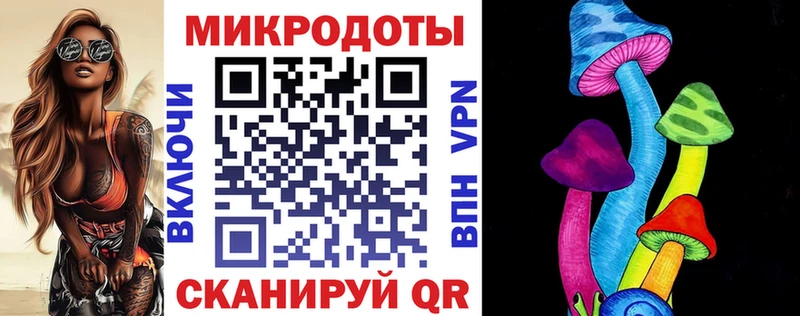 Галлюциногенные грибы Psilocybine cubensis blacksprut как войти Тимашёвск